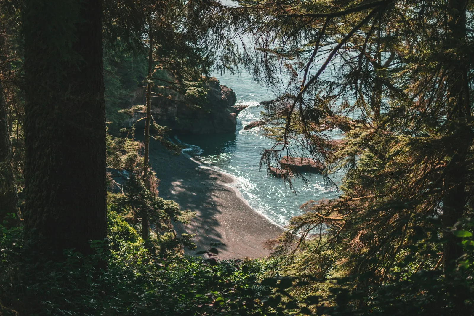 Evergreen forest overlooking a secluded beach on Vancouver Island’s Juan de Fuca coast.